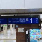 【東京駅】京葉線から横須賀線・総武線への行き方。動画案内もあります。